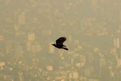 هوای آلوده‌ی تهران